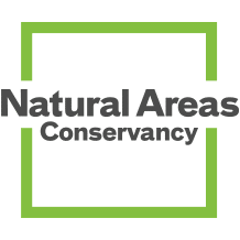 Copy-of-NAC-logo-2-color-1